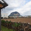 시연이네 하우스 이미지