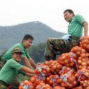 육군제8623부대 이미지