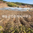 추동리목장 이미지