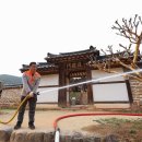 안의청과 이미지