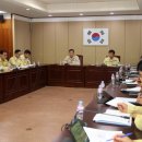 링링 이미지