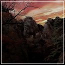 오곡광산 | 김치만으로 대통령을 홀린 찐 맛집! 첨단 김치찌개 레전드 찍고 왔어요