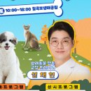 펫스티벌 이미지