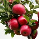 정거장식당 이미지