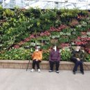 이동농협주간보호센터 이미지