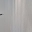 다시설레다 이미지
