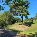 대곡초등학교 삼거리 이미지