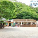 배내골 포시즌 이미지