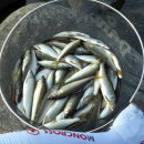 은어펜션 이미지