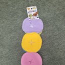 25년 S/S 다이소 강아지 신상 여름옷 구경 및 실착 후기(줄무늬셔츠, 발레드레스, 노즈워크)