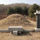 홍지선생 묘 이미지