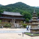 노고단-13 이미지