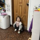 댕냥잇츠 이미지