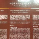 백옥생 이미지