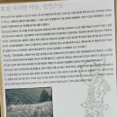 대구불교전시관 이미지