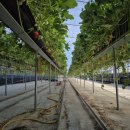 유동농장 이미지