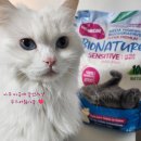 순수바이오 연구소 이미지