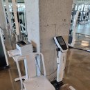 히트짐 더라이트그린 평리점 | 대구 서구 헬스장 히트짐 더라이트 그린 평리점 무료 개방