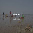 와서뭐하니 이미지