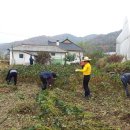 거산1리 이미지