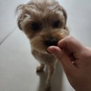 킁킁제과 이미지