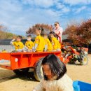 중원유치원 이미지