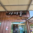 다미솔 티스토리