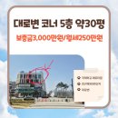 에듀삼성공인중개사사무소 네이버블로그