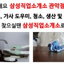삼성파출직업소개소 이미지