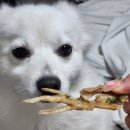 멍씨네편의점 이미지