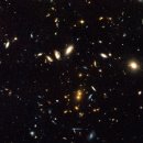 꼬기나랑 이미지