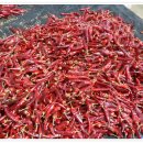 태양방앗간 이미지