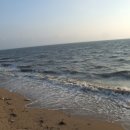 초이스 게임장 이미지