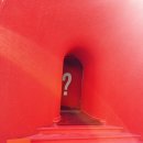 이태원, 한강진 니치향수 브랜드 BORNTOSTANDOUT 본투스탠드아웃 방문 후기