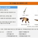인포