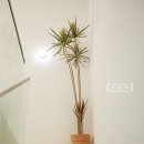 하이앤드하우스