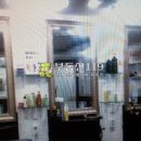 태후사랑(헤어샵) Daum카페