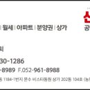 신바람공인중개사사무소 이미지