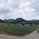 중동리 마을회관 이미지