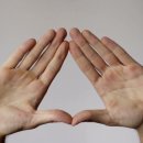 쉐이크테일 강아지 애견 유치원 호텔 미용 이미지