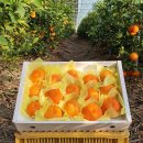 대운2농장 이미지