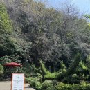 파고다포레스트