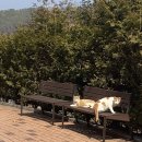 우리동네식빵 이미지