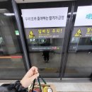 자인담 이미지