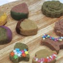 경기도 양평군 청운초등학교 이미지