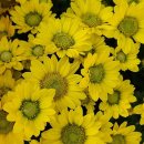 십자가의 죽으심을 끝까지 전하는 것이 예배요 구원의 길입니다 이미지