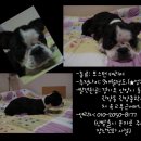 관양중학교 이미지