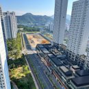 팔룡동204 이미지