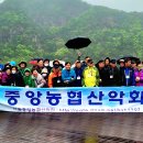 출렁다리(2) 이미지