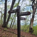양평군_어비산(魚飛山:829m) 산행 후기(ft:양평 용문산 권역 야생화 관찰)